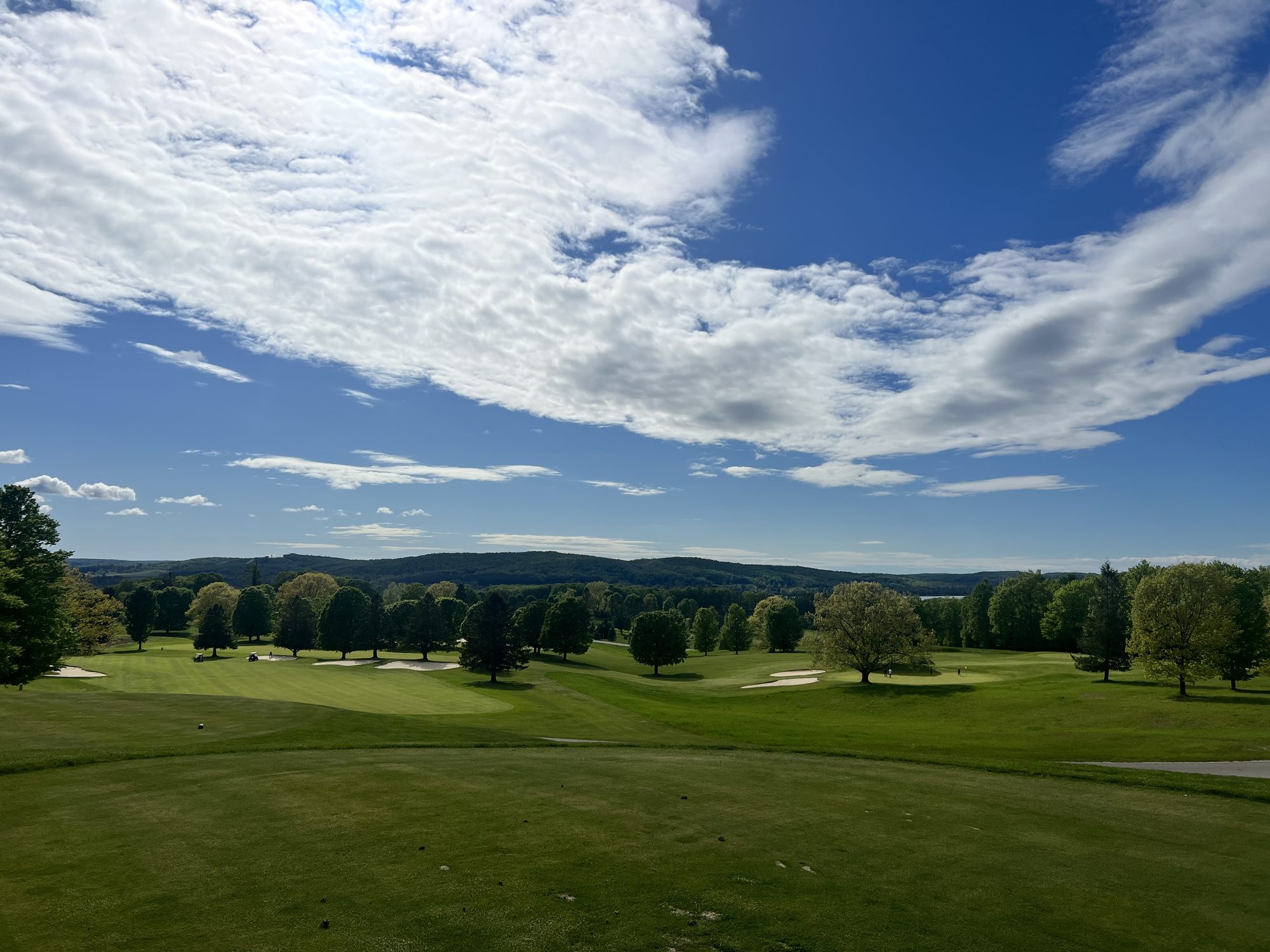 Elevated tee view over rolling fairways and bunkers, Ontario golf course, by Fringe & Fescue